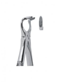 Extracting Forceps